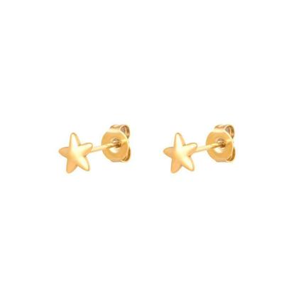Oorknopjes Ster Goud