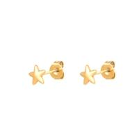 Oorknopjes Ster Goud