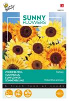 Zaden Sunny Flowers Zonnebloem Music Box Buzzy - Buzzy