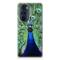 Motorola Edge 30 Pro | TPU Hoesje | Pauw