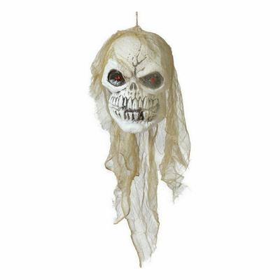 Halloween Decoraties Schedel