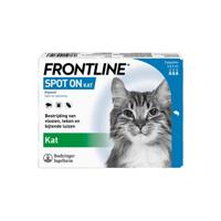 Frontline kat spot on