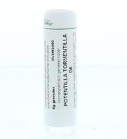 Homeoden Heel Potentilla tormentilla D6 6 Gram