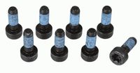 Sachs Schroevenset 1874000073