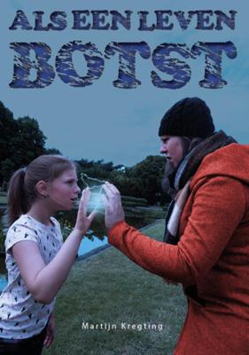 Als een leven botst (Paperback)