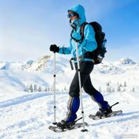 VidaXL 3 in 1 sneeuwschoenen met wandelschoenen zilver en zwart