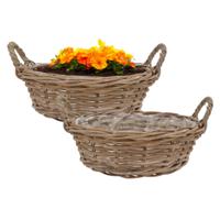 Plantenmand/aardappelmand tafelmodel - 2x - Ivy - met handvatten - rotan - B40 x H13 cm - binnen/bui Plantenmand/aardappelmand tafelmodel - 2x - Ivy - met handvatten - rotan - B40 x H13 cm - binnen/bui