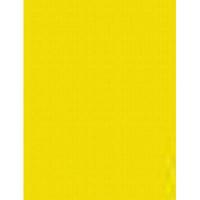 Etalagekarton 48x68 cm citroengeel 380gr