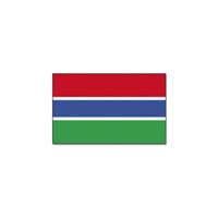 Vlag Gambia van 90 x 150 cm - feestartikelen - Landen thema supporters