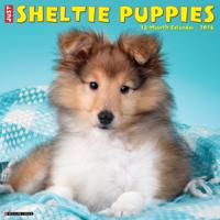 Shetland Sheepdog Puppies Kalender 2026