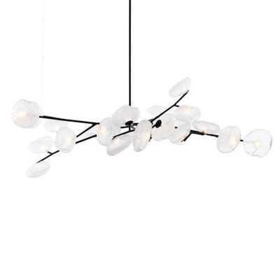 Bocci 73.23 Armature Hanglamp - Transparant - 23 lampen