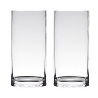 Set van 2x stuks transparante home-basics cylinder vorm vaas/vazen van glas 30 x 12 cm