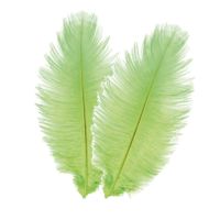 Struisvogelveren/sierveren - 2x - lime groen - 30-35 cm - decoratie/hobbymateriaal - thumbnail