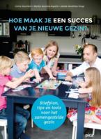 Hoe maak je een succes van je nieuwe gezin? (Paperback)