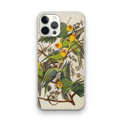 Carolinaparkiet: iPhone 12 Pro Transparant Hoesje