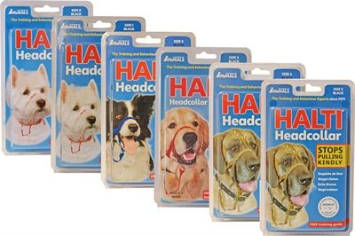 The Company Of Animals Company of animals halti headcollar zwart