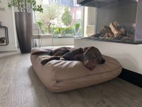 Dog's Companion® Hondenbed taupe leather look superlarge