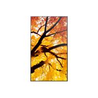 Videowall Monitor Sharp 60006053 4K Ultra HD 42,5"
