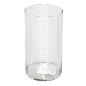 Gerimport Bloemenvaas cilinder - helder glas - D10 x H20 cm - Vazen