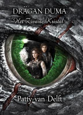 Het zwarte kristal (Paperback)