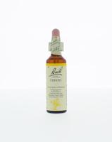Bach Cerato/loodkruid