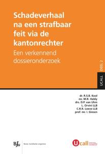 Schadeverhaal na een strafbaar feit via de kantonrechter (Paperback)