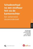 Schadeverhaal na een strafbaar feit via de kantonrechter (Paperback)