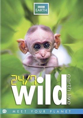 24/7 Wild - DVD (8715664103661) 24/7 Wild - DVD (8715664103661)