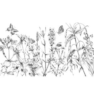 Fotobehang - Butterfly Field 400x250cm - Vliesbehang