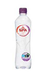 Water Spa Touch sparkling blackcurrant PET 0.5l