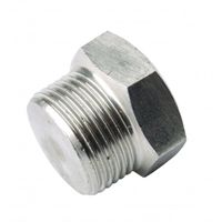 plug buitendraad 1/2" inox