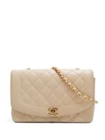 CHANEL Pre-Owned sac porté épaule Diana (1992-1994) - Tons neutres - thumbnail