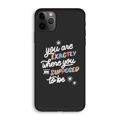 Right Place: iPhone 11 Pro Biologisch afbreekbaar hoesje
