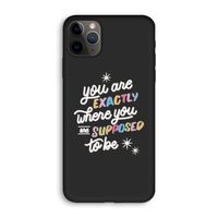Right Place: iPhone 11 Pro Biologisch afbreekbaar hoesje
