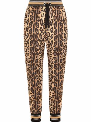 Dolce & Gabbana pantalon de jogging à imprimé léopard - Marron