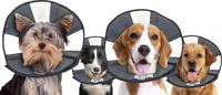 Zenpet Procone L