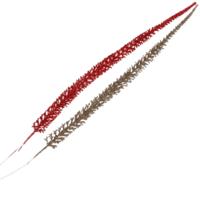 Daan Kromhout Kunsttak shine penni rood/goudkleurig 52 cm set van 12 | 8 stuks