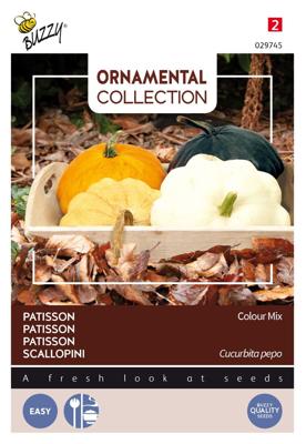 Ornamental patisson colour mix - Buzzy