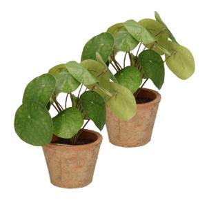 Kunstplant pilea/pannekoekplant - 2x - groen - in pot - 25 cm