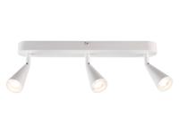 LIVARNO home LED-plafondlamp (ovaal/wit)