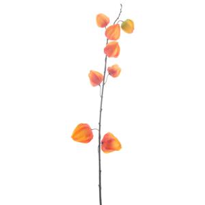 Kunstbloem Lampionplant/physalis tak - 73 cm - oranje - zijde bloemen - Kunst herfst takken