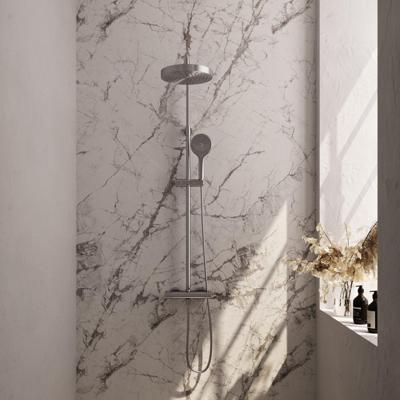 BRAUER Stripe Opbouw Thermostatische Regendouche - SET 02 - 25cm hoofddouche - 3-standen handdouche - doucheslang - RVS-kleurig geborsteld PVD 5-NG-349