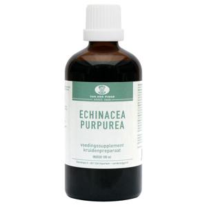 Van der Pigge Echinacea purpurea