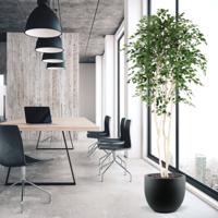 Kunst Berkenboom 250cm Deluxe