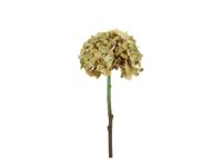 Kunstbloem Hydrangea 18x18x46 cm bg Countryfield - Countryfield