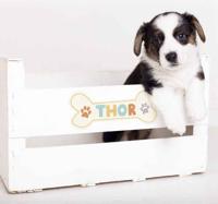 Hondenhok Naam Decoratie sticker huisdieren - thumbnail
