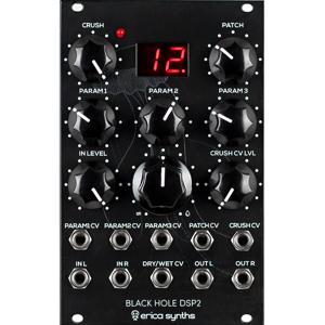 Erica Synths Black Hole DSP2 eurorack module