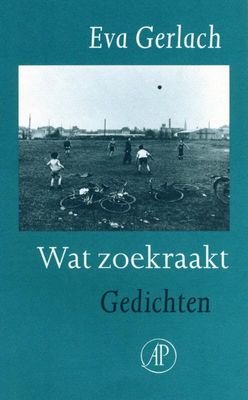 Wat zoekraakt - Eva Gerlach - ebook
