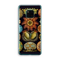 Haeckel Ascidiae: Huawei Mate 20 Pro Transparant Hoesje