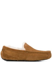 UGG slippers Ascot - Tons neutres